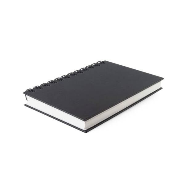 Business Diary